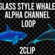 Glass Style Whale 2Clip Alpha Loop - VideoHive Item for Sale