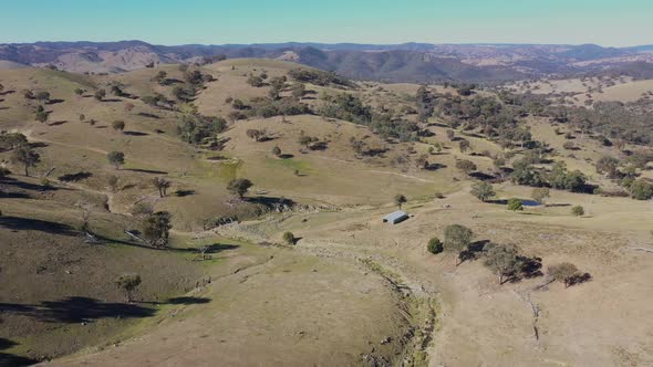 Aerial footage of a creek running through a green agricultural field in regional Australia