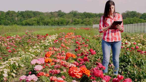 Female Gardener Checks Quality of Flowers and Takes Notes on Digital Tablet, Walking Along Rows of