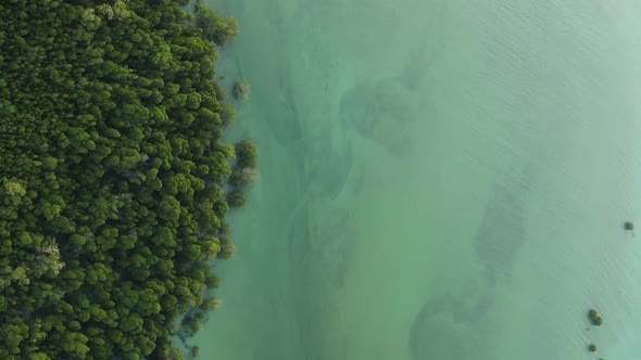 Zanzibar Tanzania  Vertical Video of the Ocean Near the Coast Slow Motion