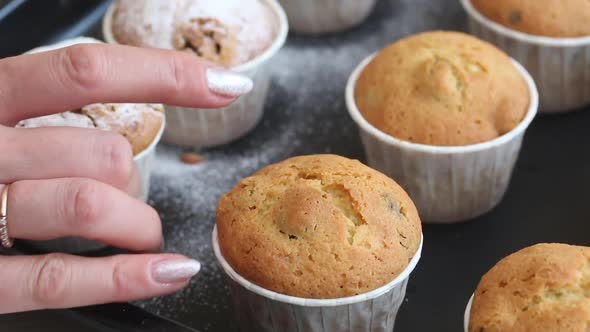 Freshly Baked Muffins Sprinkled With Powdered Sugar.