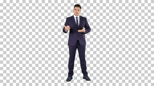 Handsome Businessman Looking in Camera and Talking, Alpha Channel