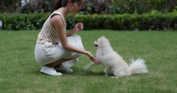 Woman train with her dog at outdoor