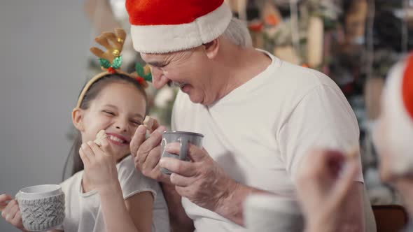 Happy Grandparents and Little Girl Enjoying Christmas Eve