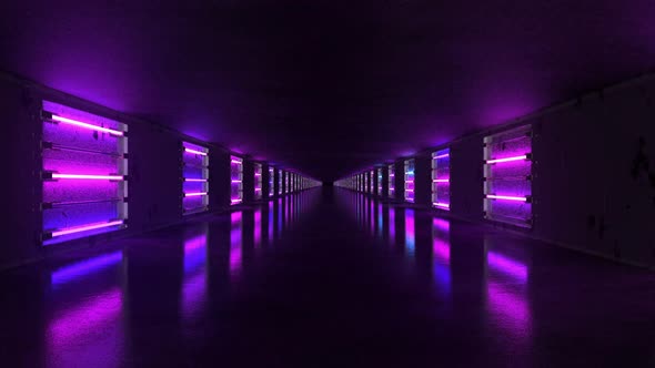 Neon Tunel