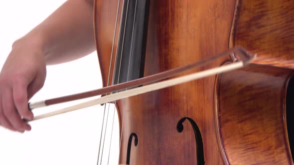 Woman Is Playing the Cello on White Background. Close Up of Cello and Bow. Steadicam Shot