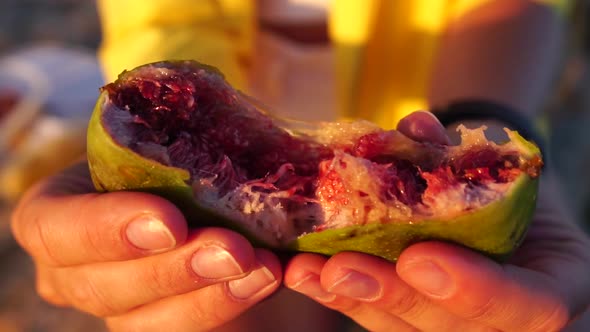 Woman's Hands Opening a Fig to Eat