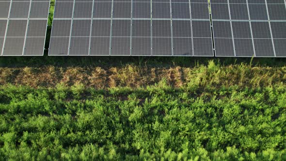 Aerial View Solar Power Station on Green Field at Sunset Solar Panels in Row