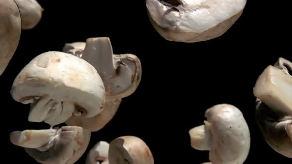 Closeup of the Champignon Mushroom Halves Falling Down on the Black Background