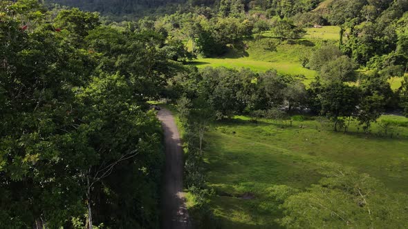 Gravel road leading through the jungle of central America on a sunny afternoon. 4k aerial footage of