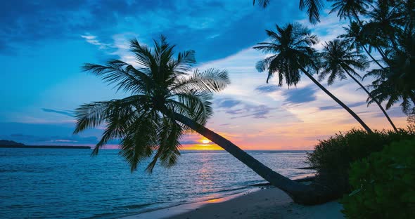 Time lapse: sunset over tropical beach and sea colorful dramatic sky moving clouds palm trees