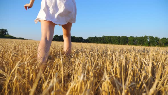 Attractive Woman in White Dress Running Through Field with Yellow Ripe Wheat. Young Carefree Girl