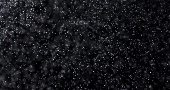 Falling snowflakes isolated on a black background, a lot of falling chaotic snow.