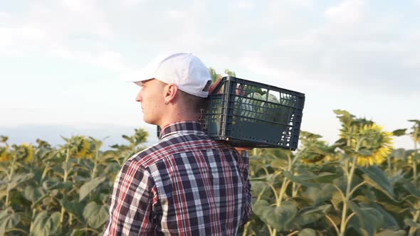 An agronomist in an agricultural field walks with a full box of vegetables.