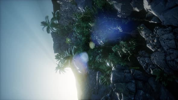 Palm Trees and Mountains in Fog alt