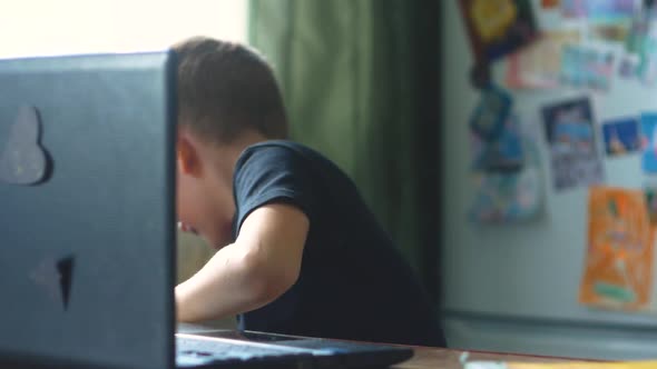 A Caucasian schoolboy for 7-8 years has been studying on a laptop,