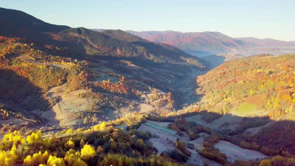 The Mountain Forest on the Background of the Sunset