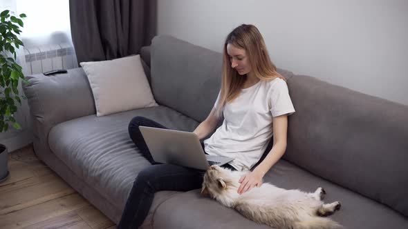 Blonde Woman is Working on Laptop on Sofa and Big Cat is Laying Down Nearby She Caress Pet