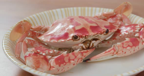 Steamed Fresh flower crab