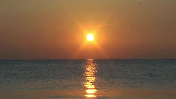 Yellow Winter Sky In Birds Flying And Sunset Seascape