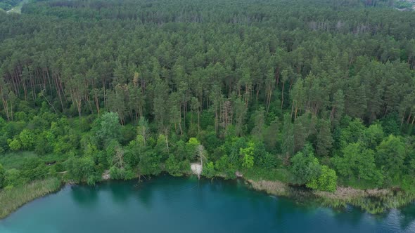 Aerial View Lake Shore Forest