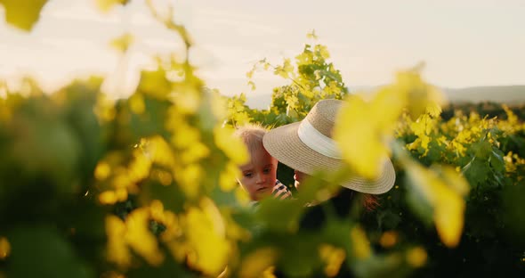 Young Mother Having Fun Time with Her Little Baby Boy in Summer Vineyard of Provence During Sunset