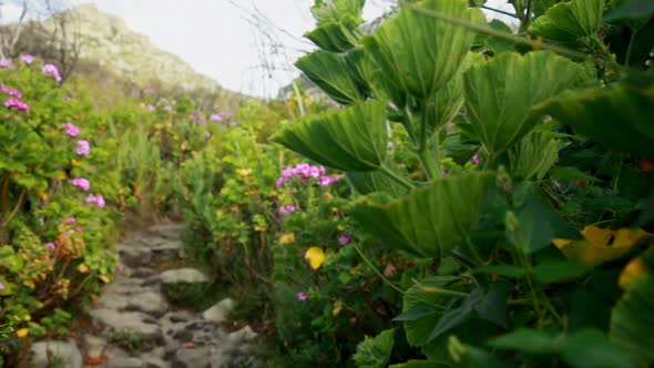 Male hiker walking with backpack in countryside