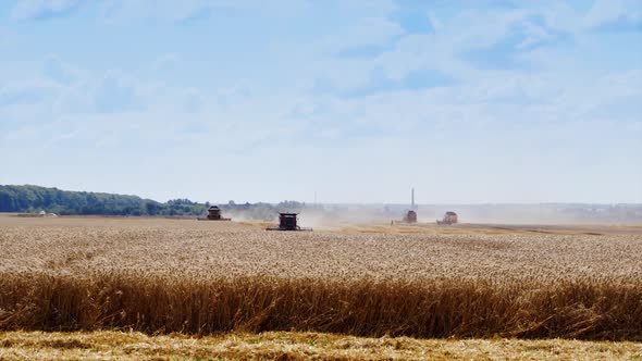 Combine working on wheat field. Combine tractor harvesting wheat field