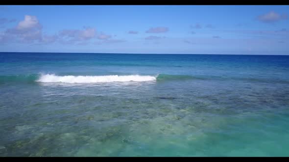 Aerial flying over travel of marine lagoon beach wildlife by blue green ocean with white sand backgr