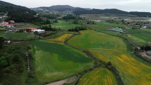 Aerial View of Yellow and Green Farmers Fields in Spring