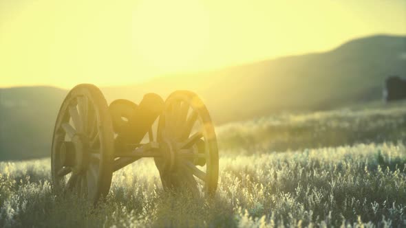 Historic War Gun on the Hill at Sunset alt