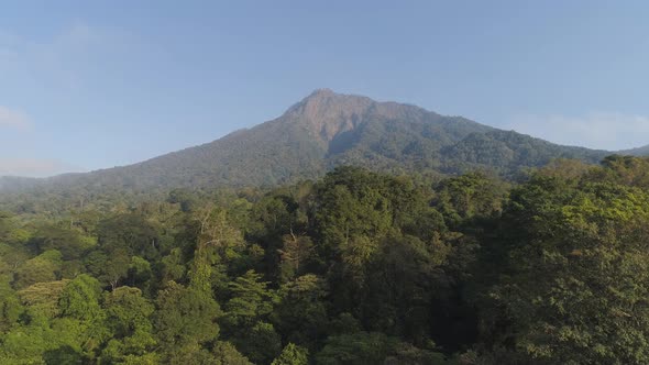 Tropical Landscape Rainforest and Mountains