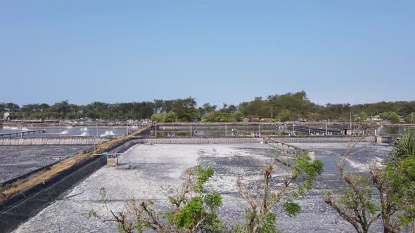 Aerial view, captivity or shrimp pond in southern yogyakarta on the coast of samas. Fresh seafood fi