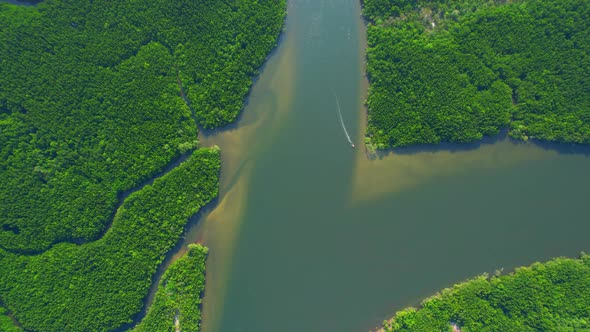 4K Aerial view of mangrove forest at khao jom pa, trang, Thailand. 4k Footage