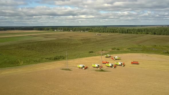 Upper View Green Harvesters and Trucks Operate on Field