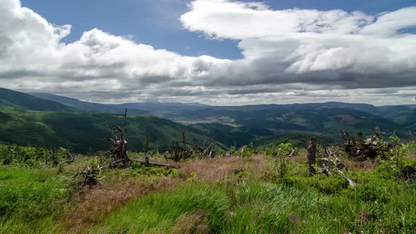 Clouds and Shadows Flying over Green Meadow and Forest Landscape