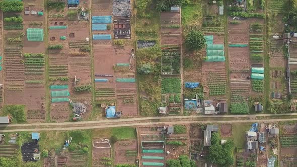 Aerial top shot of garden plots in rural England