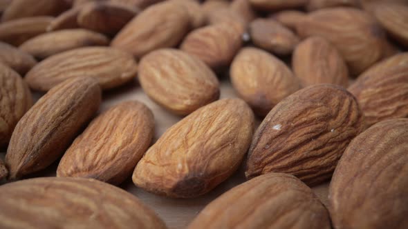 Extreme Macro Bottom Movement of Almond Kernels for Vegetarians and Nutritious Food