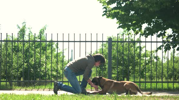 Woman Is Setting Paws of Her Dog.