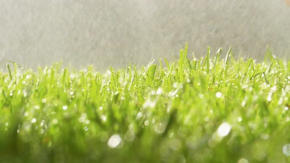 Spraying Water on Green Grass