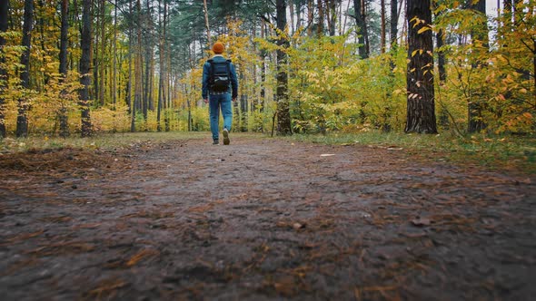 Following Shot of Young Active Man with Backpack Walking on Trail in Autumn Woods