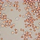 the Movement of a Macrophage (Leukocyte) in a Drop of Blood Under a Microscope, Plays an Important - VideoHive Item for Sale
