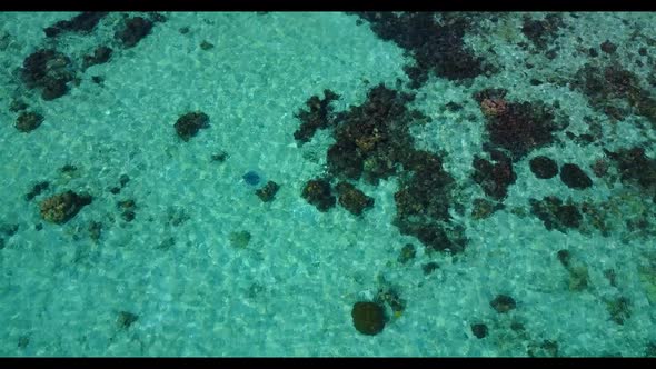 Aerial above travel of perfect seashore beach wildlife by transparent lagoon and white sandy backgro