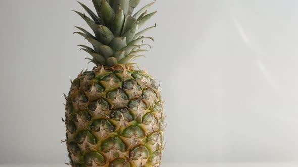 Fresh Ananas comosus tropical fruit  4K 2160p 30fps UltraHD footage - Fresh exotic pineapple on whit