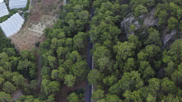 Car drive through rural Turkish countryside road through forest; drone birdseye