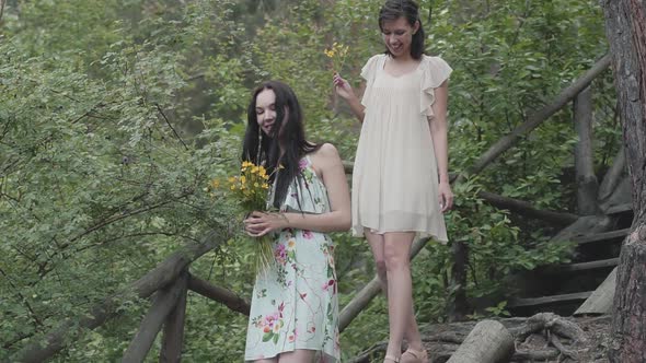 Portrait of Two Young Women in Short Dresses with Flowers Go Down the Stairs and Looking at Amazing