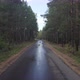Forest Road After Rain Backward Movement - VideoHive Item for Sale
