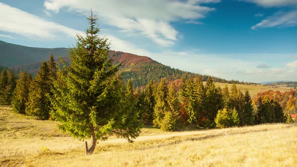 Carpathians Ukraine