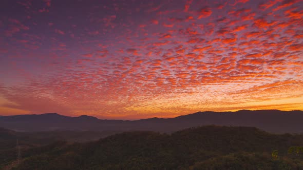 Orange gold sky cloudscape over fertile forest mountains.