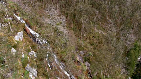 waterfall on the rocky cliff surrounded by coniferous and eucalyptus forests in the Sor river. Drone